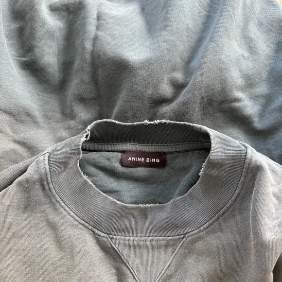 Anine Bing Jaci Sweatshirt in Washed Faded Green - Picture 6 of 6